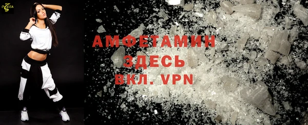 прущие грибы Армянск