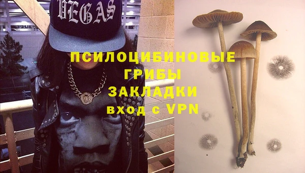 PSILOCYBIN Арсеньев
