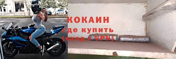 прущие грибы Армянск