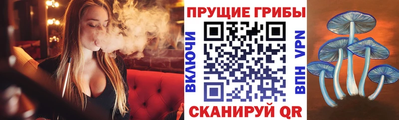 Псилоцибиновые грибы мицелий  Колпашево 